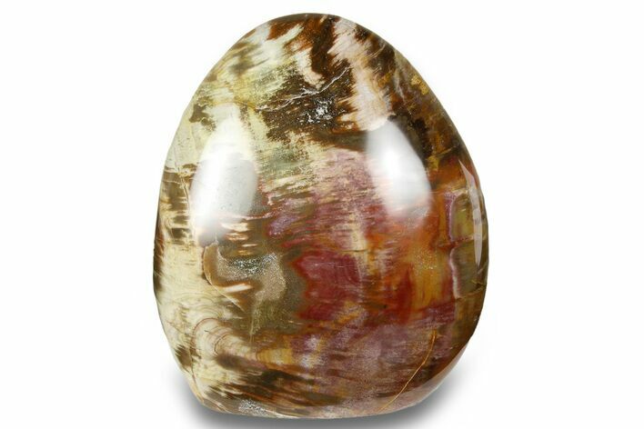 Free-Standing, Polished Petrified Wood - Madagascar #256703